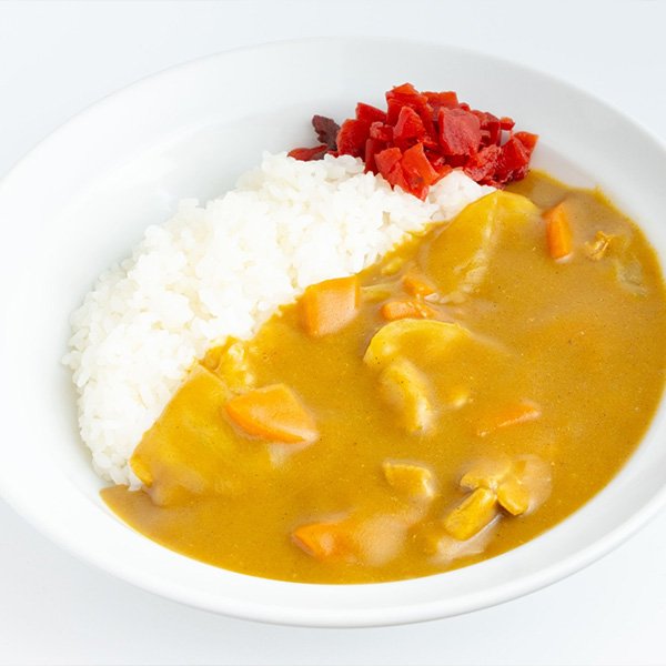 バスセンターのカレー(ミニ)